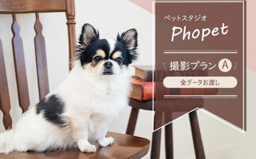 ペットスタジオPhopet 撮影プランA・全データお渡し