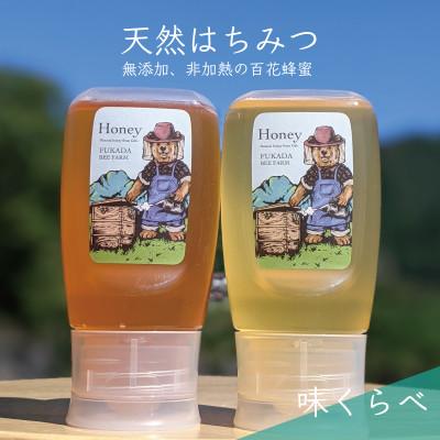 ふるさと納税 美濃市 合計600g 深田養蜂の天然蜂蜜  非加熱 生はちみつ 岐阜県 美濃市産 味比べ2本セット C5
