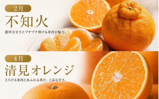 【発送月固定定期便】紀州和歌山産旬のフルーツセット(不知火・清見・スイカ・桃・柿・みかん)全6回  / 定期便 フルーツ みかん オレンジ すいか 桃 ジュース みかん 柿 完熟みかん【tkb454】