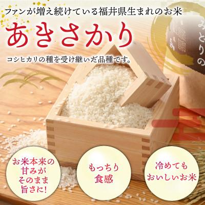 ふるさと納税 小浜市 令和6年度産　[農家直送]あきさかり5kg×2袋　福井県小浜市「松のみどりの」 |  | 01