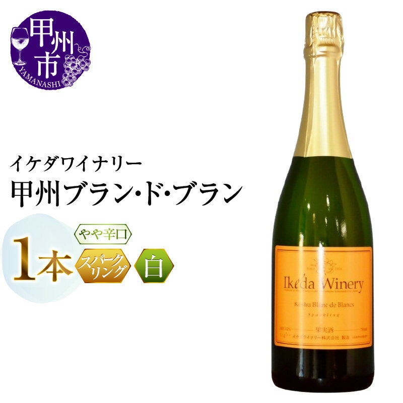 【ふるさと納税】 ワイン スパークリングワイン 白 750ml 1本 甲州 ブラン・ド・ブラン 泡 やや辛口 イケダワイナリー 酒 お酒 山梨 母の日 父の日 記念日 ギフト 山梨県 甲州市 （MG） 【A09-481】