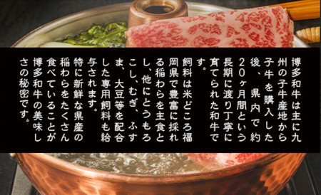 【A4～A5】博多和牛サーロインしゃぶしゃぶすき焼き用 600g　AO054