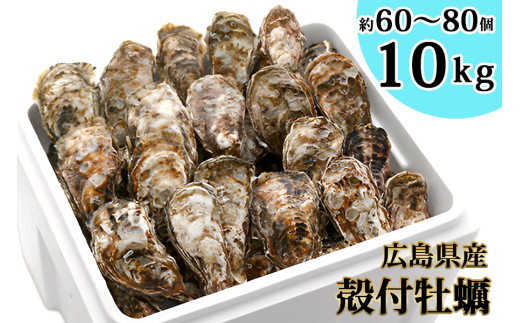 殻付 牡蠣 10kg｜朝どれ 生牡蠣 生かき 生がき 生カキ 生ガキ 広島県産 宮島 瀬戸 [1747]