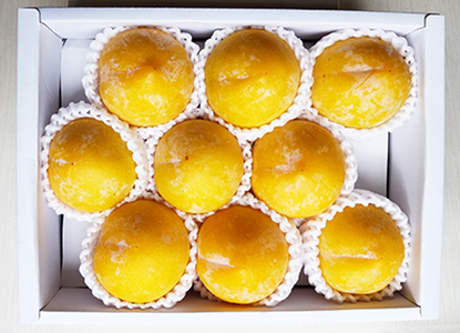 プラム（ゴールド秋姫）１.５ｋｇ　特秀品　0106-2407