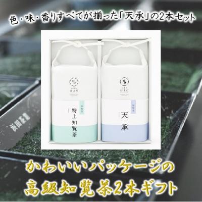 ふるさと納税 南九州市 かわいいパッケージの高級知覧茶2本ギフト
