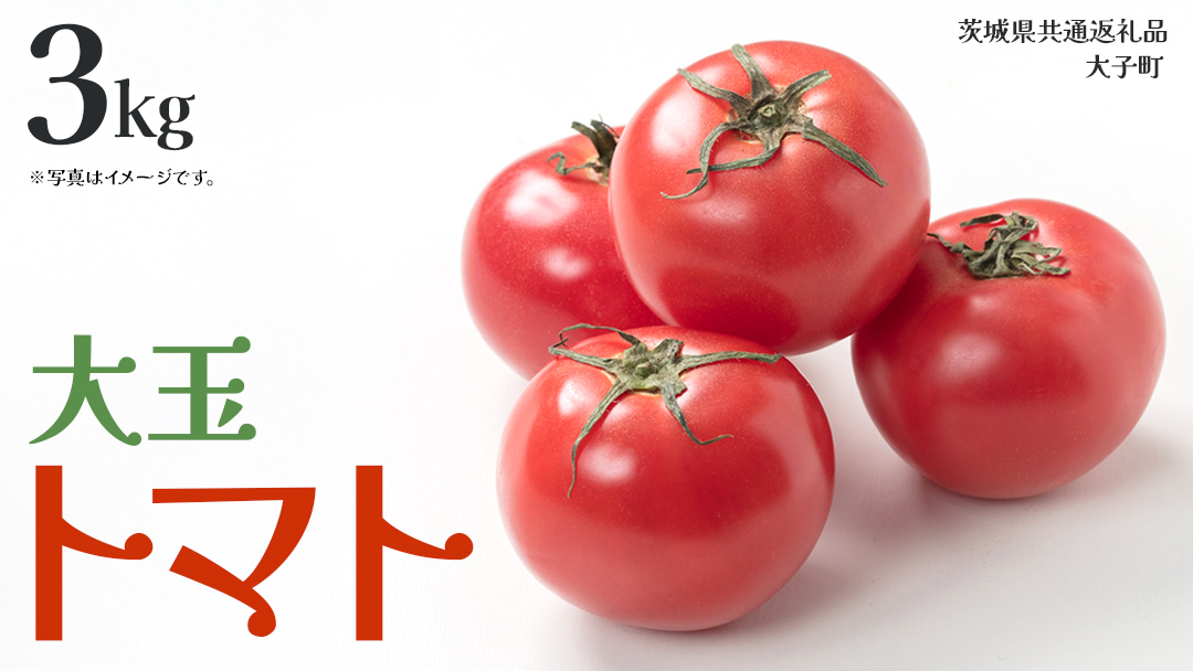 大玉 トマト 3kg (茨城県共通返礼品：大子町) 野菜 フルーツ 旬 季節限定 期間限定