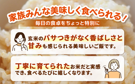 【期間限定】【3ヶ月連続お届け】【令和7年産】発芽玄米 特別栽培米 ミルキークイーン 5kg×3回（計15kg）発芽玄米  [H-2907]
