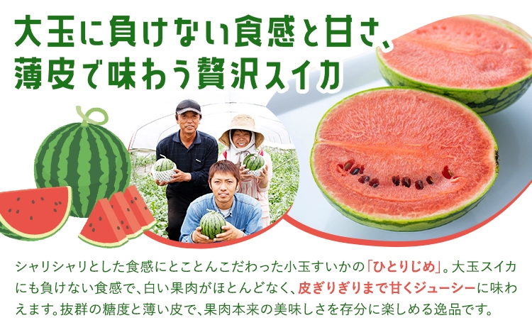 特選 小玉スイカ 3玉（約2kg～2.4kg）