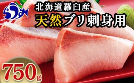 【2025年1月発送】北海道 知床羅臼産 天然ぶり刺身 750g（250g ×3パック） 魚 海産物 魚介 魚介類 ブリ 鰤 刺身 ご飯のお供 冷凍 生産者 支援 応援