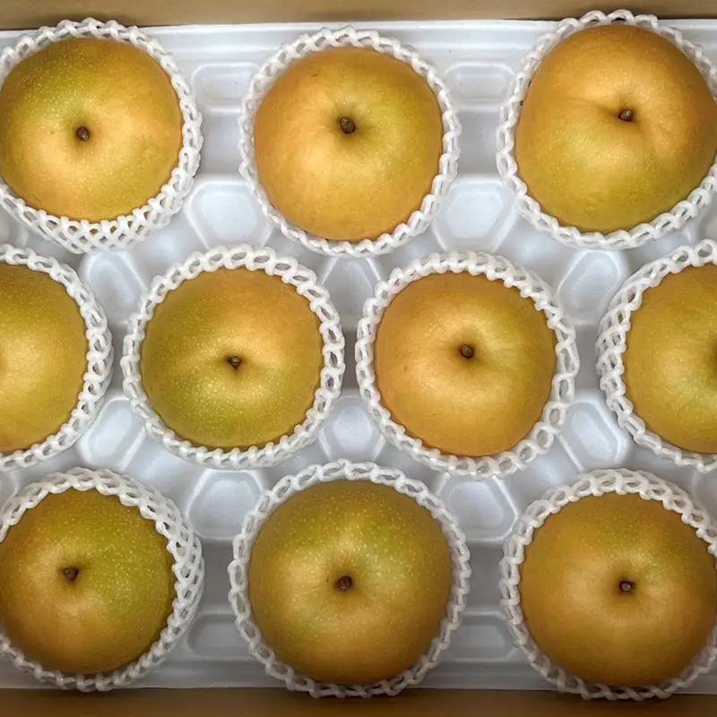 梨・フルーツ／【先行予約／数量限定80】京丹後産 新興梨 大玉 5kg（6～10玉入り）（2026年10月上旬～発送）人気梨品種・果物・フルーツ・旬のフルーツ・旬の果物・梨セット・梨の詰め合わせ
