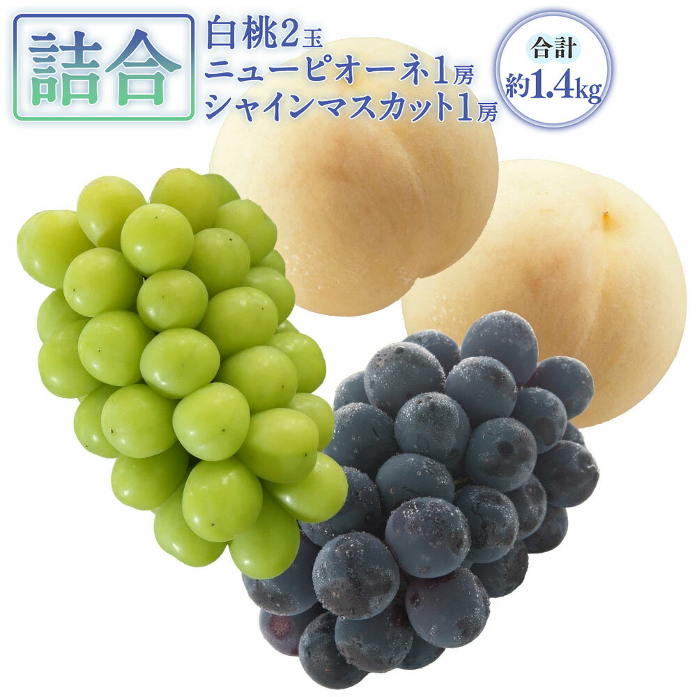 【ふるさと納税】岡山産 白桃 2玉（1玉220g以上）ニューピオーネ 1房（480g以上）シャインマスカット 1房（晴王・480g以上）化粧箱入り 桃 ぶどう ブドウ 葡萄 果物 くだもの フルーツ 冷蔵 詰め合わせ 国産 岡山県 奈義町 送料無料 【2025年7月下旬～8月上旬迄発送予定】