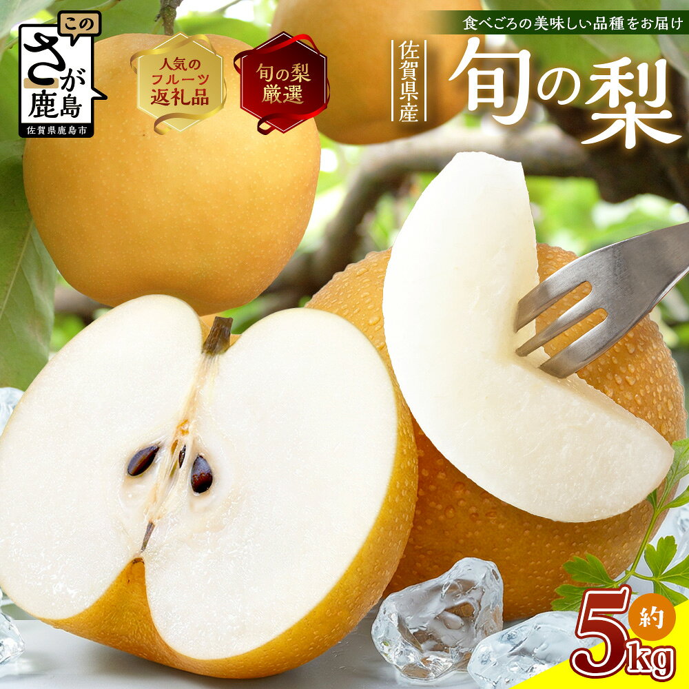 【ふるさと納税】2026年予約受付 佐賀県産 美味しい梨 約5kg | ふるさと納税 梨 なし 果物 フルーツ 果実 贈答用 お取り寄せ ギフト 国産 佐賀県産 佐賀県 鹿島市 ふるさと 人気 送料無料 おくりもの プレゼント　B-875