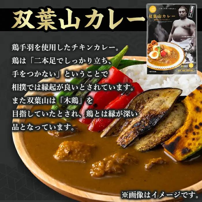 ＜訳あり・簡易包装＞双葉山カレー(計1.8kg・180g×10P) 鶏肉 鳥肉 とりにく とり肉 お肉 カレー チキンカレー スパイスカレー レトルト 簡単調理 常温 保存【115601500】【SF
