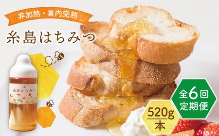 【全6回定期便】糸島 はちみつ 520g 糸島市 / ヴァンベールフーズ /百花 / 蜂蜜[AFJ006]