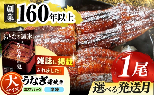 【うなぎや】【11月発送】 炭火焼 うなぎの蒲焼き 1尾 【紀州備長炭使用】 鰻 うなぎ ウナギ 土用の丑の日 丑の日 蒲焼き 蒲焼 老舗 真空パック 特大 大 特上 送料無料 多治見市 [TFO001]
