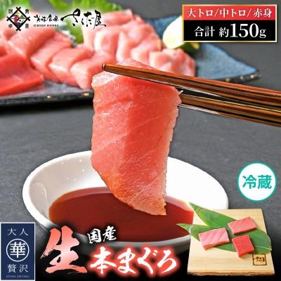 ふるさと納税 越前町 生本まぐろ三昧 おひとりさま ミニ セット計約150g