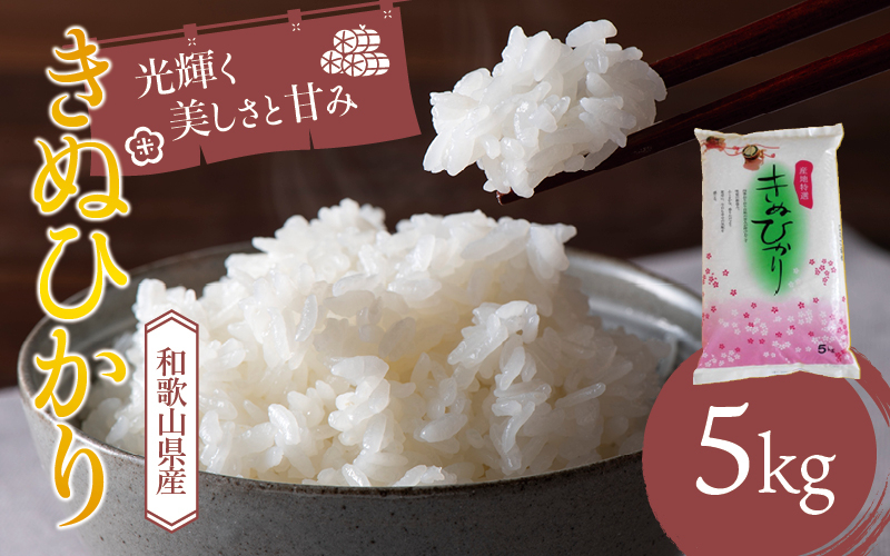 
            和歌山県産 キヌヒカリ 5kg(2024年産)  産地直送 米 こめ ご飯 ごはん 【sml101C】
          
