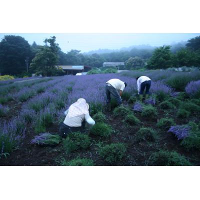 ふるさと納税 小諸市 【オーガニック化粧水】ダマスクローズウォーター2種・ラベンダーウォーター1種200ml×3種セット |  | 02