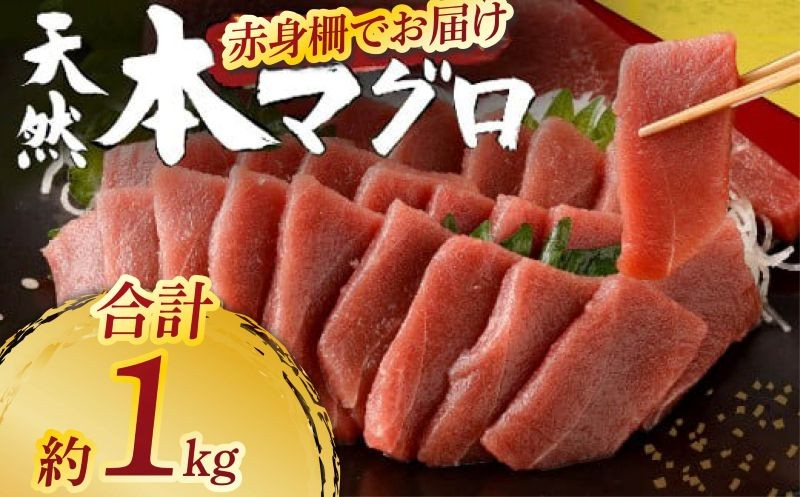 
            天然本まぐろ 赤身サク 合計約1kg 【日時指定可】 刺身 お刺し身 柵 マグロ 鮪 ちらし寿司 手巻き寿司 おかず 海鮮丼 マグロ丼 マグロ漬け丼 魚介類 真空パック 父の日 惣菜 訳あり 規格外 高豊丸 冷凍
          