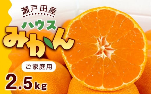 とろけるような完熟ハウスみかん2.5キロ＜7月1日～順次発送＞ドルチェみかん フルーツ 柑橘 果物 産直【みかん 柑橘 果物 フルーツ 人気 おすすめ 瀬戸内 広島県  尾道市】