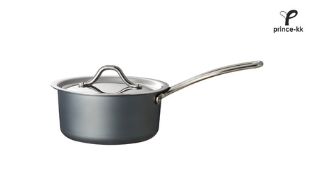 TE2NABE ソースパン16cm 鉄鍋 無水調理 特殊窒素加工で錆びにくい 鍋 キッチン用品 燕三条製  [プリンス工業] 【021S041】