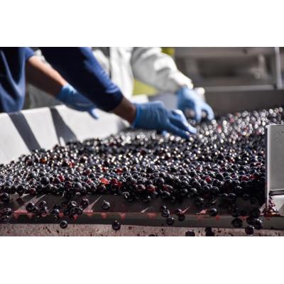 ふるさと納税 池田町 十勝ワイン 赤にこだわったビンテージ 6本セット |  | 03