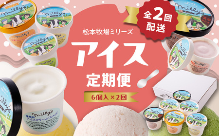 松本牧場アイス定期便（6個入り×2回）／ ジェラート アイスクリーム【Z056】