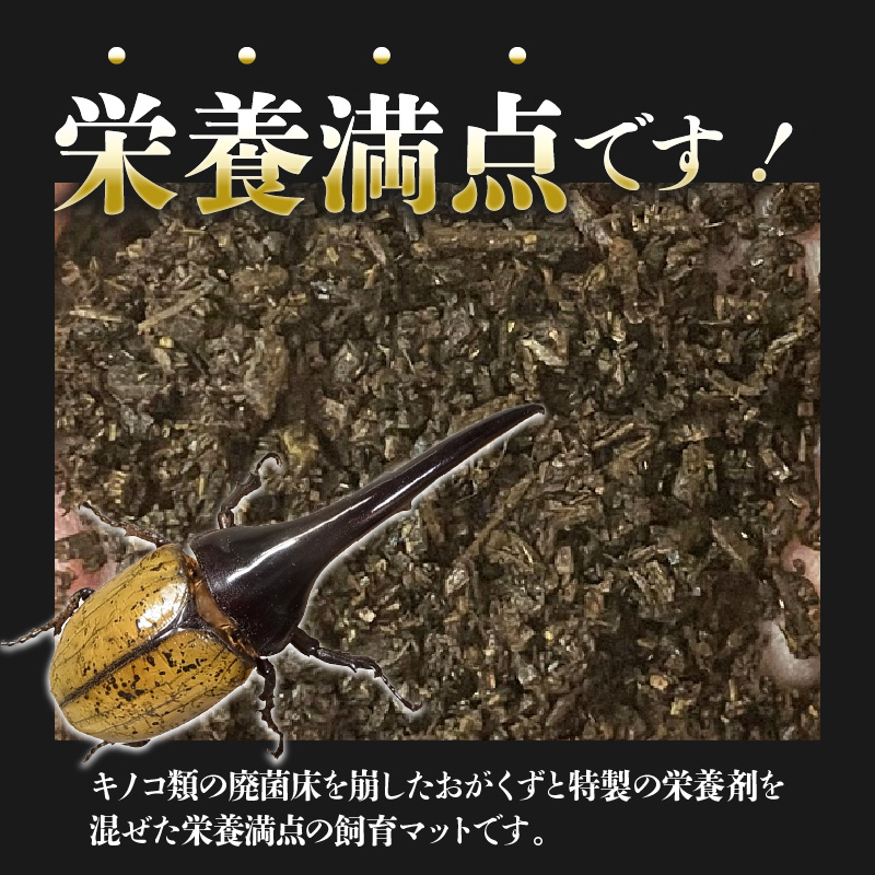 【HirokA】ヘラクレスオオカブト 飼育マット オリジナルマット B　N022-YZA734