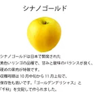 【先行受付】シナノゴールド 5kg　（14～18玉）