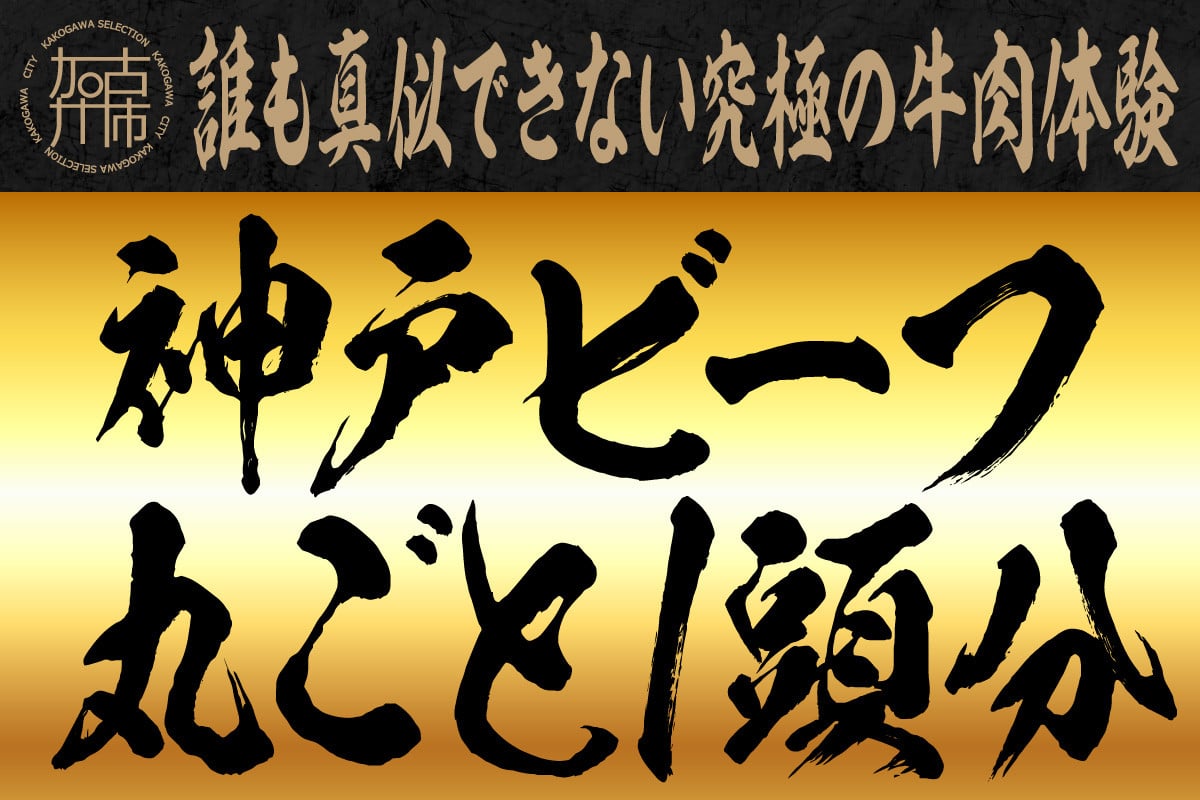 
                  誰も真似できない究極の牛肉体験【神戸ビーフ丸ごと1頭分】【2499A00614】
                