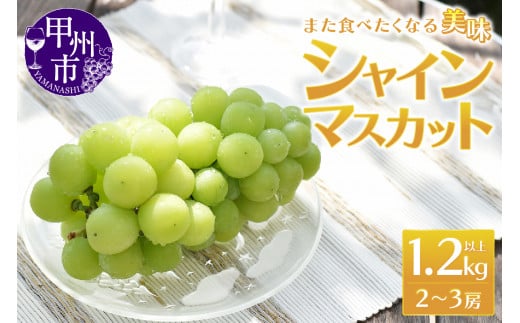 また食べたくなる 美味 シャインマスカット 1.2kg以上 2～3房【2026年発送】（MRN）B-147 【シャインマスカット 葡萄 ぶどう ブドウ 令和8年発送 期間限定 山梨県産 甲州市 フルーツ 果物】