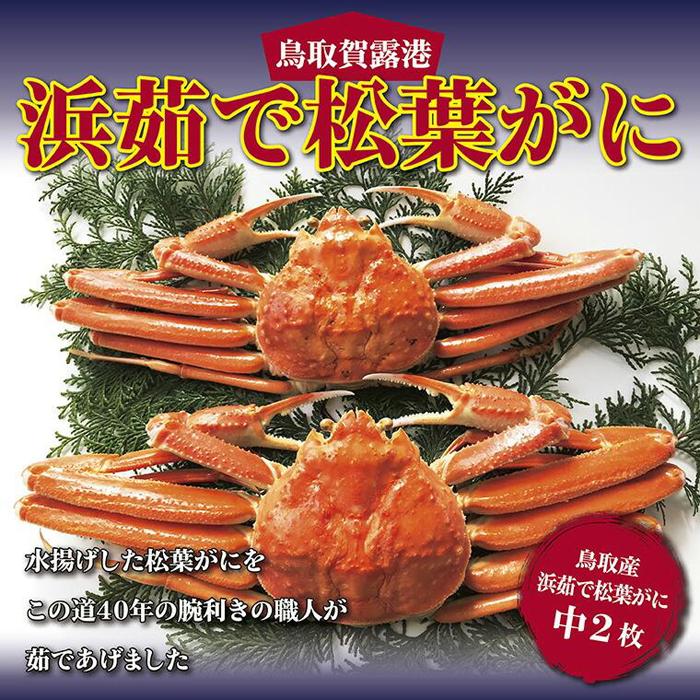 【ふるさと納税】鳥取賀露港 浜茹で松葉がに【かねまさ・浜下商店】 | かに カニ 蟹 鳥取 ずわいがに
