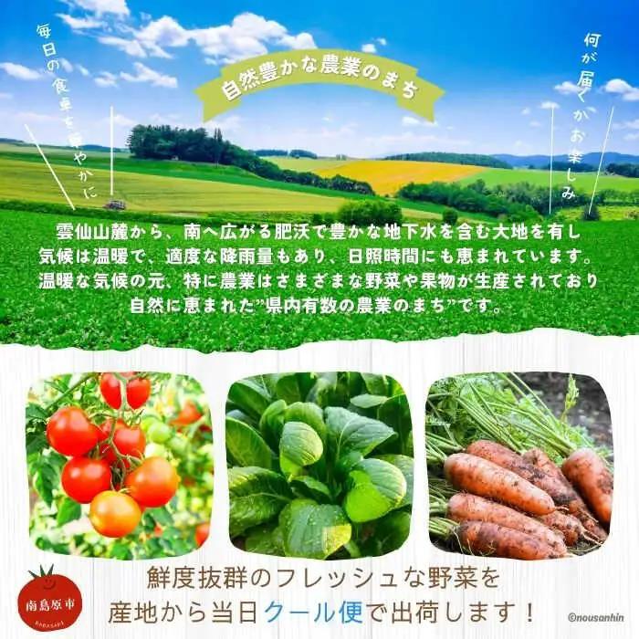 【12回定期便】野菜定期便 [SCB097] 