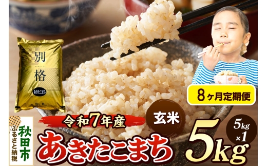 《令和7年産》《定期便8ヶ月》 米 あきたこまち 5kg 【玄米】 秋田県産