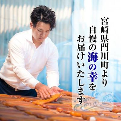 ふるさと納税 門川町 【訳あり!簡易包装】国産大あじの開き(20枚以上) |  | 03