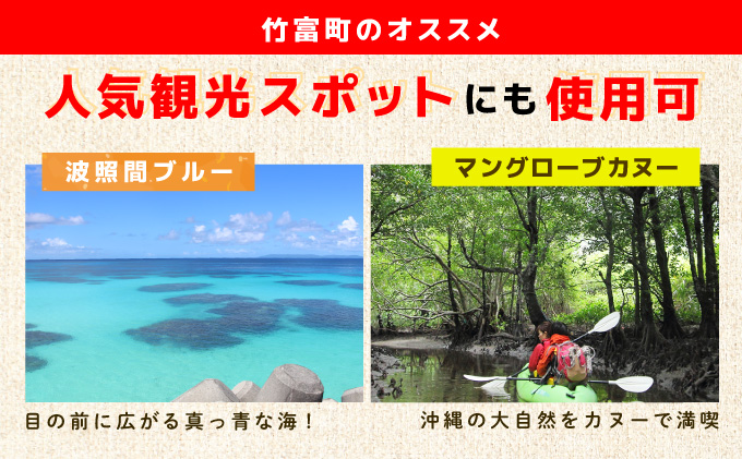 沖縄県竹富町　日本旅行　地域限定旅行クーポン【60，000円分】【チケット 旅行 宿泊券 ホテル 観光 旅行 旅行券 交通費 体験  宿泊 夏休み 冬休み 家族旅行 ひとり カップル 夫婦 親子 トラ