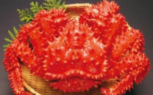 D-89002【12/21まで年内配送】 花咲ガニボイル冷凍1.5kg前後×1尾