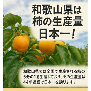 柳フルーツ園の「紀州手作り　あんぽ柿」16個入り(4個入り×4パック)_柿　あんぽ柿　橋本市産柿使用_【配送不可地域：離島】【1215941】