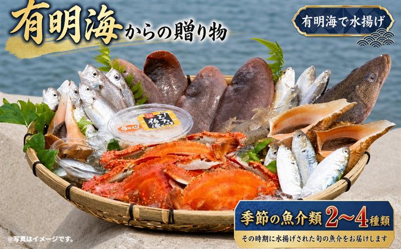 N-161 有明海からの贈り物