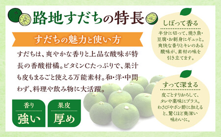 【期間限定】露地すだち 1箱（1kg）すだちすだちすだちすだちすだち