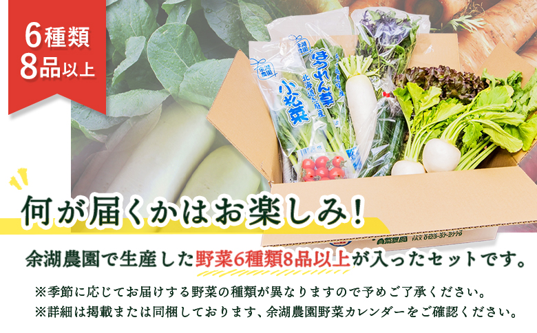 北海道産季節の野菜詰め合わせ 6種類8品【31000501】