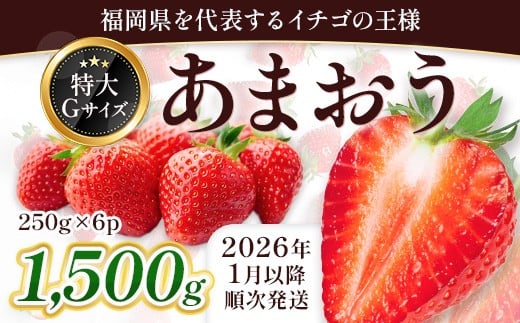 
            ＜先行予約受付中！2026年1月上旬以降順次発送予定＞ 福岡県産 あまおう (計1.5kg・250g×6パック) いちご イチゴ 苺 ストロベリー 果物 フルーツ おやつ デザート スイーツ 福岡県 小分け アマオウ 1月発送 期間限定 数量限定 冷蔵 【エフビーネット】as47-005
          
