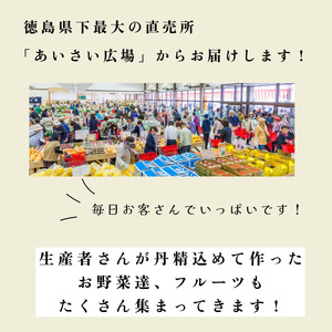 野菜 7種セット 旬の野菜 詰め合わせ おまかせ 新鮮 採れたて 産地直送
