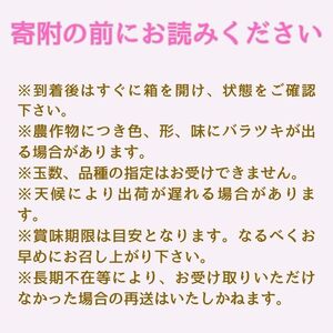 【南信州高森産】旬の桃 あかつき2kg  2026年7月下旬より発送