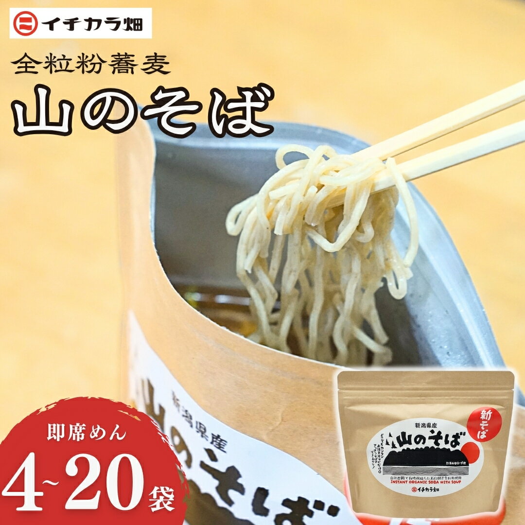 【ふるさと納税】山のそば 選べる数量 4個 / 6個 / 20個セット イチカラ畑 | そば 蕎麦 ソバ 自社農園 特産品 グルメ おすすめ 人気 インスタント アウトドア 非常食 新潟県 小千谷市【0021-0008SV00-01】