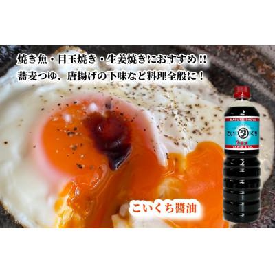 ふるさと納税 能登町 【復興支援】高田醤油店 こいくち醤油 1L×3本セット |  | 02