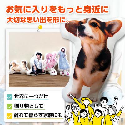 ふるさと納税 西尾市 オリジナルフリーカットクッション両面プリントLサイズ(最大60cm)・F045 |  | 01