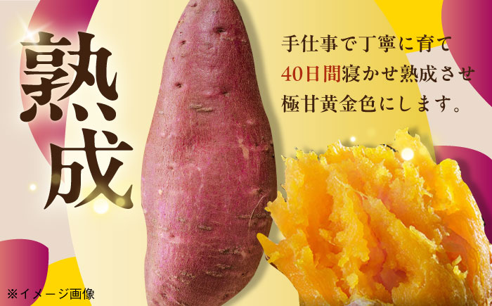 【3年連続日本一！】ごと芋 300g×6袋 / 冷凍 焼き芋 レンジ さつまいも 安納芋 五島市 / ごと [PBY003]