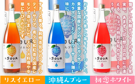 サワー セット B 萬代 1800ml 3種 サワー