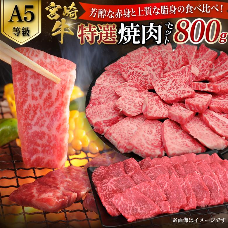【A5等級】宮崎牛 特選焼肉セット 計800g（赤身・霜降り） 宮崎牛 プレミアムシリーズ ブランド牛 和牛 牛肉 焼肉 特選和牛 霜降り A5 宮崎県 小林市